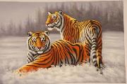 unknow artist Tigers 022 USA oil painting artist